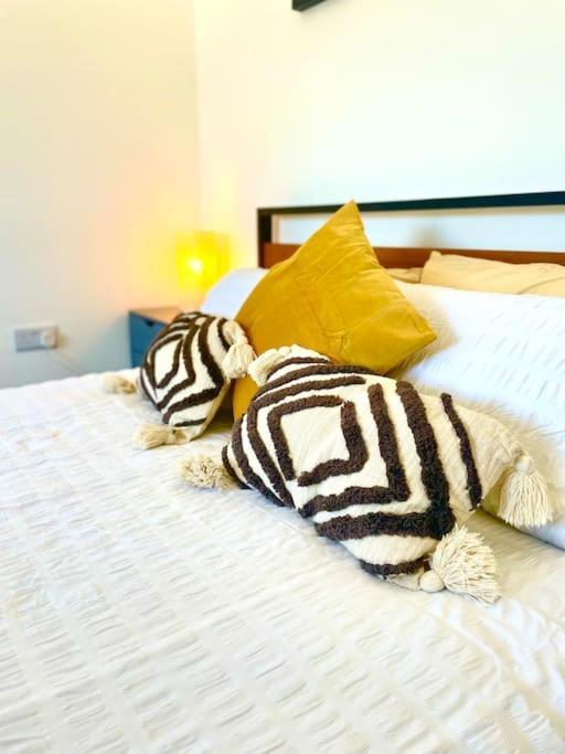 Modern Chic Summer Holiday Retreat. New Quay Εξωτερικό φωτογραφία