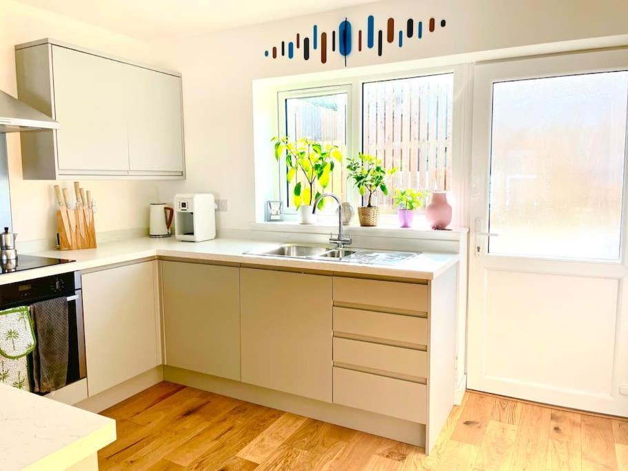 Modern Chic Summer Holiday Retreat. New Quay Εξωτερικό φωτογραφία